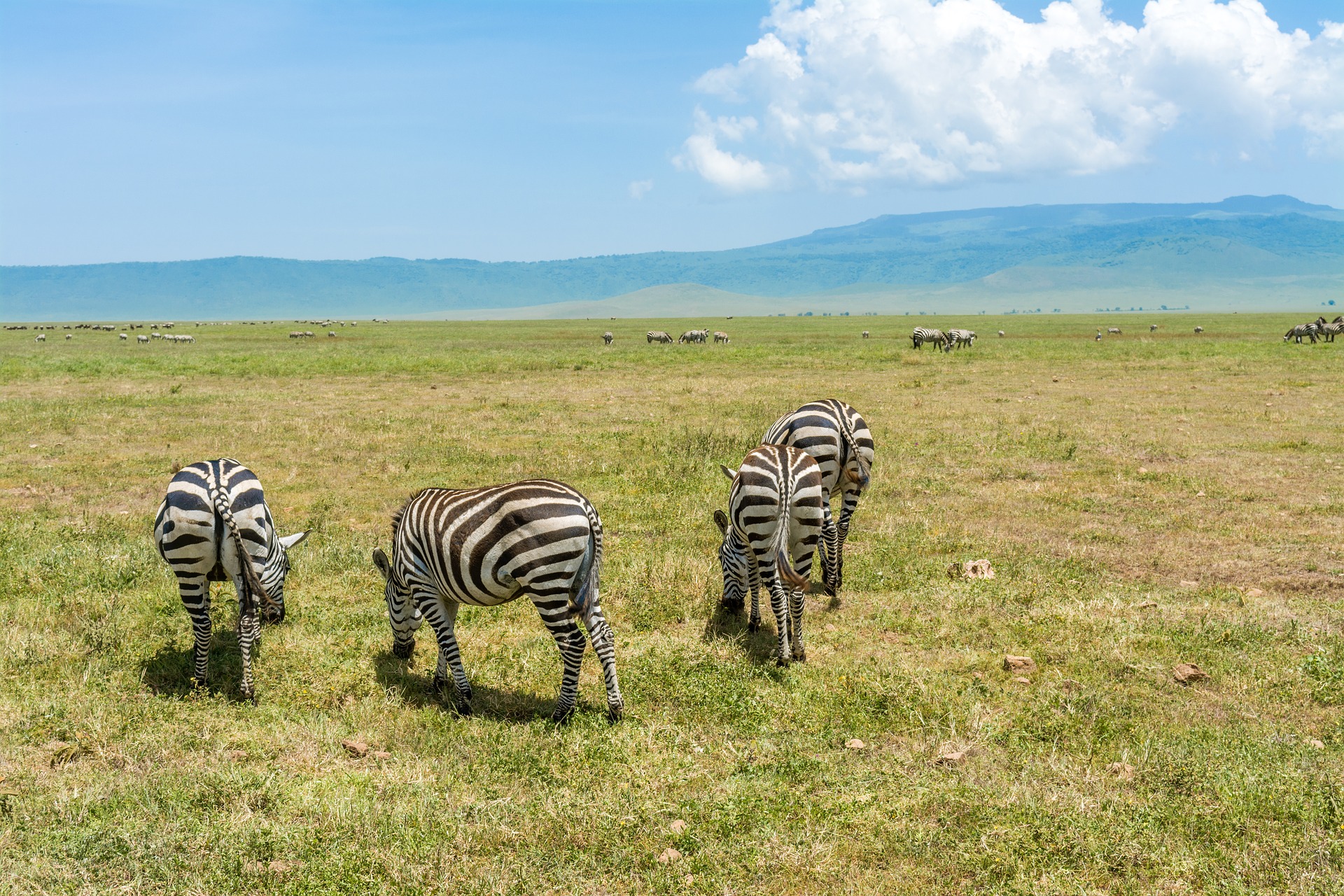 NGORONGORO crater